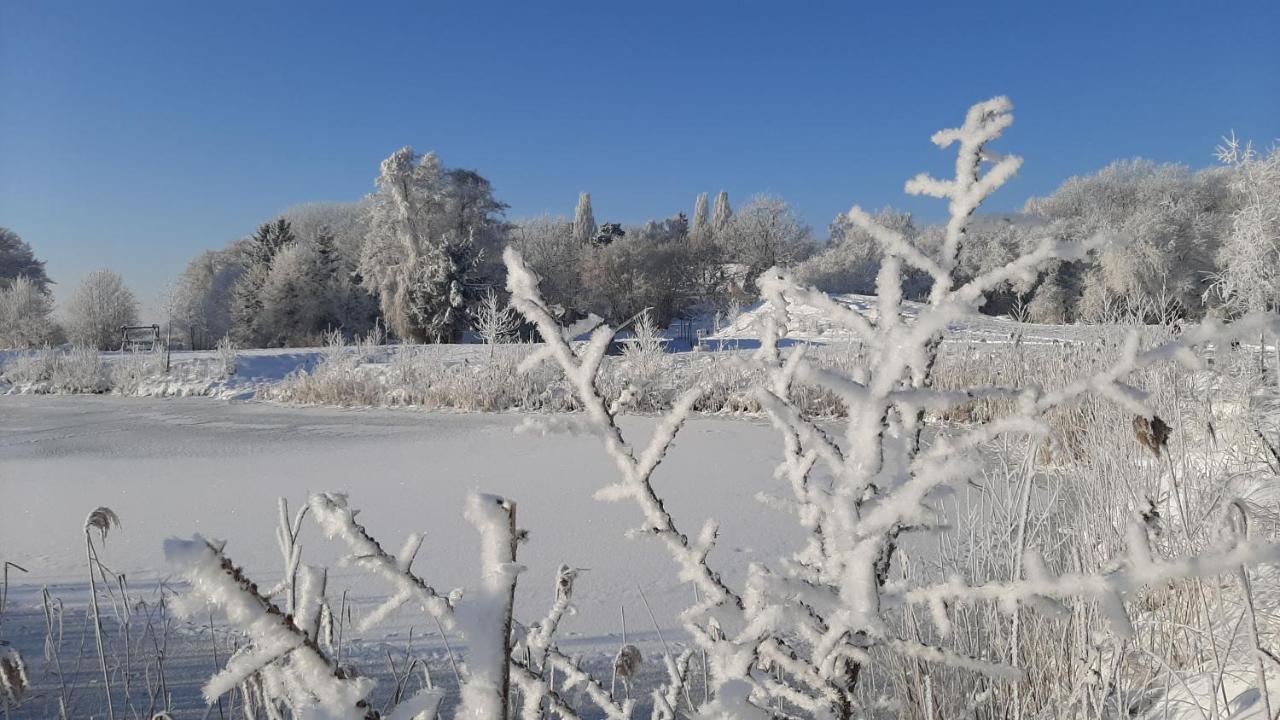 Orzechowy Dworek Нови-Двур-Ґданьскі Екстер'єр фото