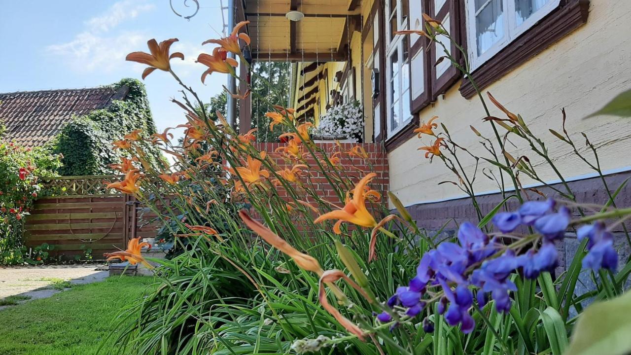 Orzechowy Dworek Нови-Двур-Ґданьскі Екстер'єр фото