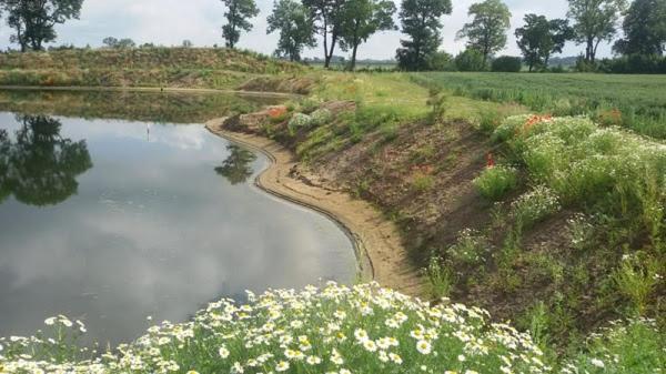 Orzechowy Dworek Нови-Двур-Ґданьскі Екстер'єр фото