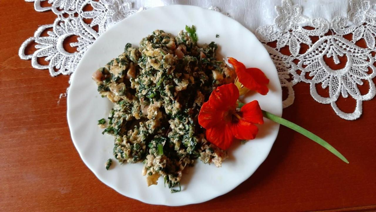 Orzechowy Dworek Нови-Двур-Ґданьскі Екстер'єр фото