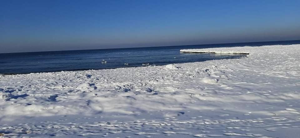 Orzechowy Dworek Нови-Двур-Ґданьскі Екстер'єр фото